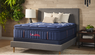 Euro Top Pillow Top